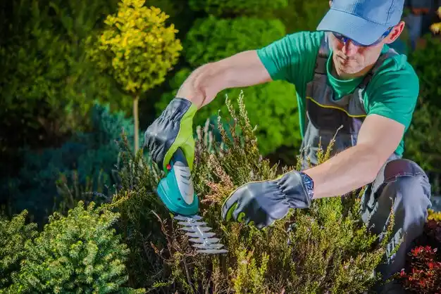 landscaping services Dodge
